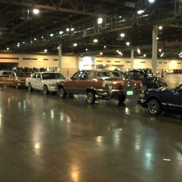 Meet your Posher, Daniel - Picture 1 of 1